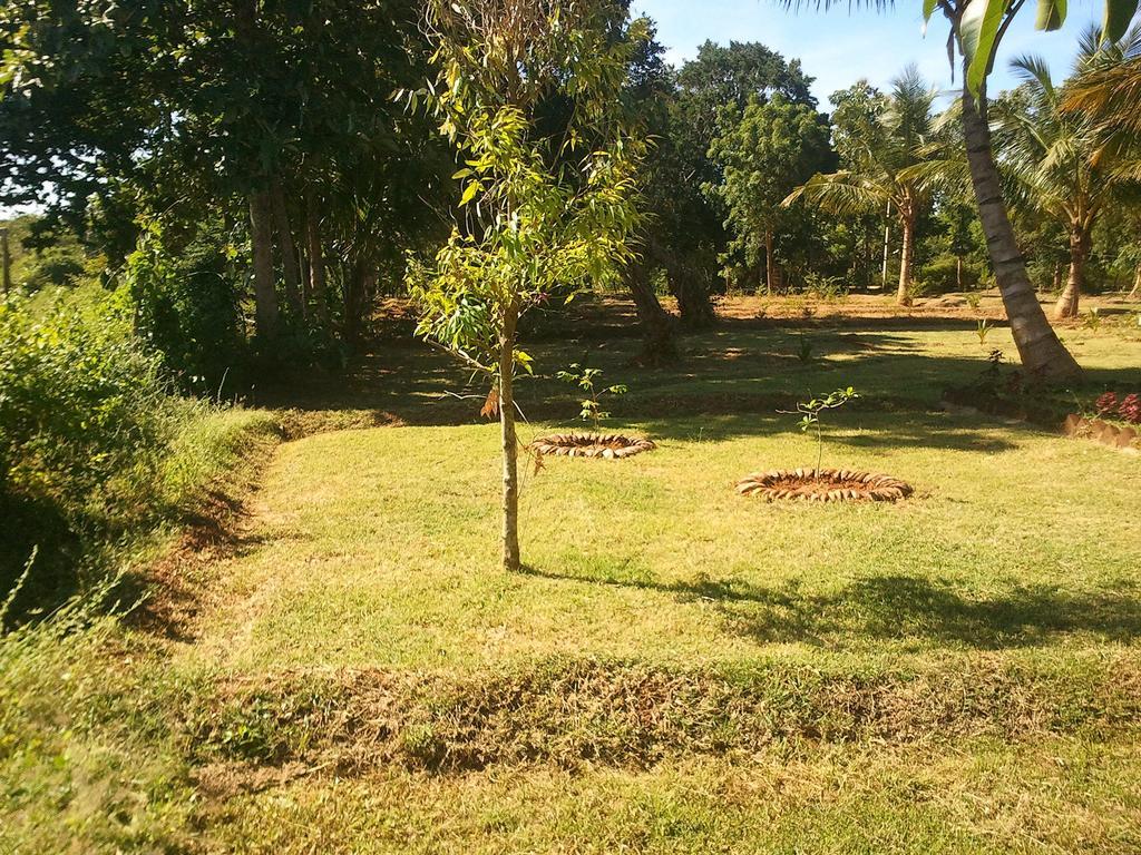 Hotel Yala Eco Tree House Tissamaharama Exterior foto