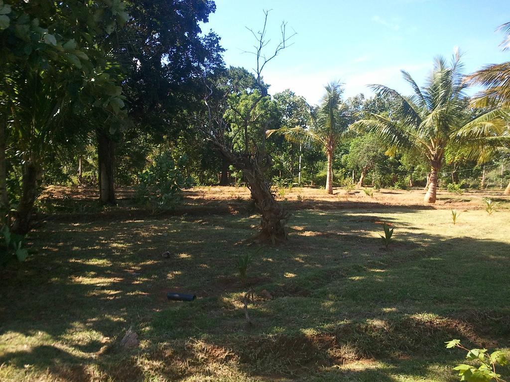 Hotel Yala Eco Tree House Tissamaharama Exterior foto