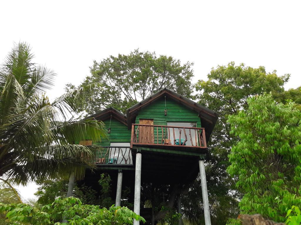 Hotel Yala Eco Tree House Tissamaharama Exterior foto
