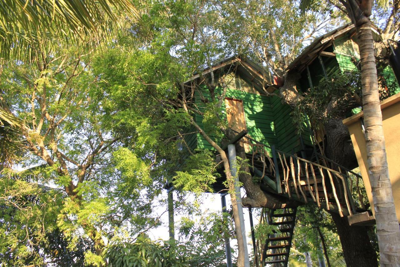 Hotel Yala Eco Tree House Tissamaharama Exterior foto