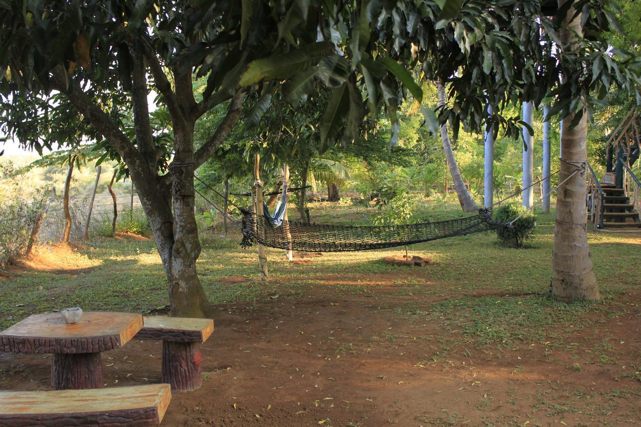 Hotel Yala Eco Tree House Tissamaharama Exterior foto