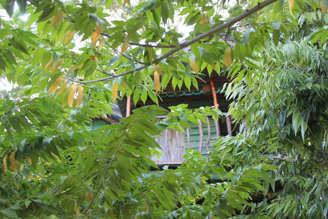 Hotel Yala Eco Tree House Tissamaharama Exterior foto