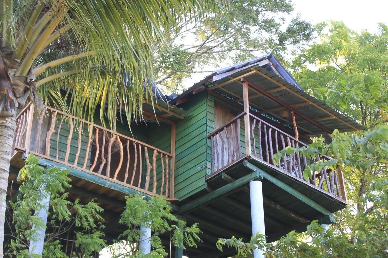 Hotel Yala Eco Tree House Tissamaharama Exterior foto