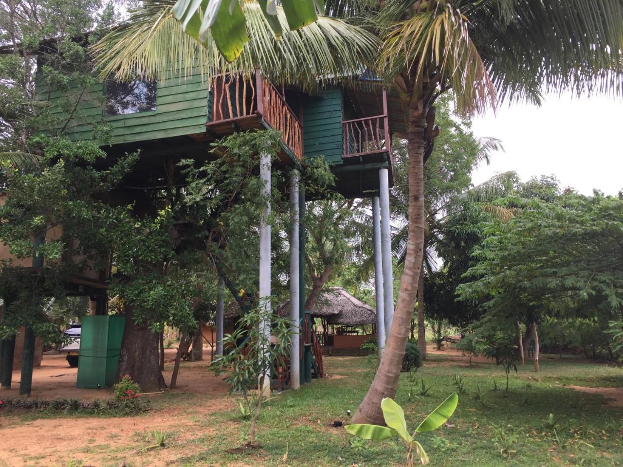 Hotel Yala Eco Tree House Tissamaharama Exterior foto
