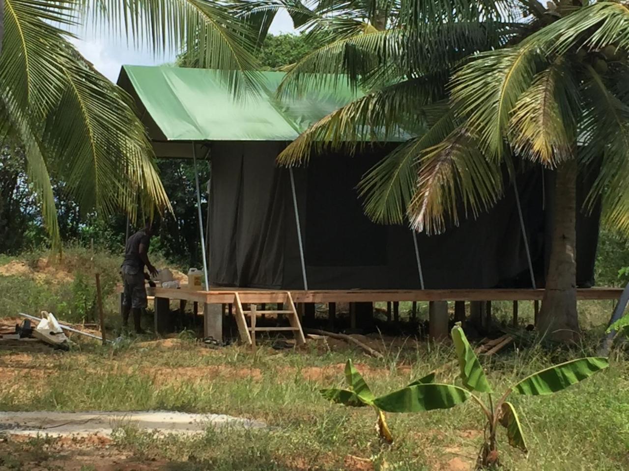 Hotel Yala Eco Tree House Tissamaharama Exterior foto