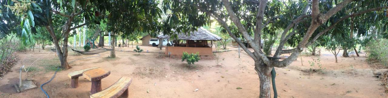 Hotel Yala Eco Tree House Tissamaharama Exterior foto