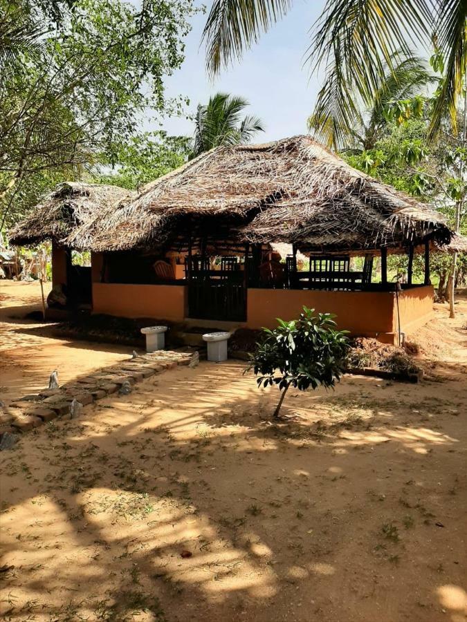 Hotel Yala Eco Tree House Tissamaharama Exterior foto