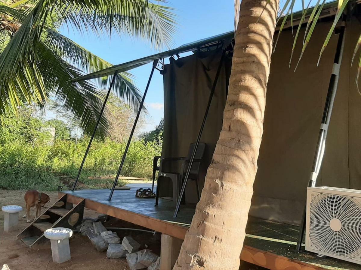 Hotel Yala Eco Tree House Tissamaharama Exterior foto