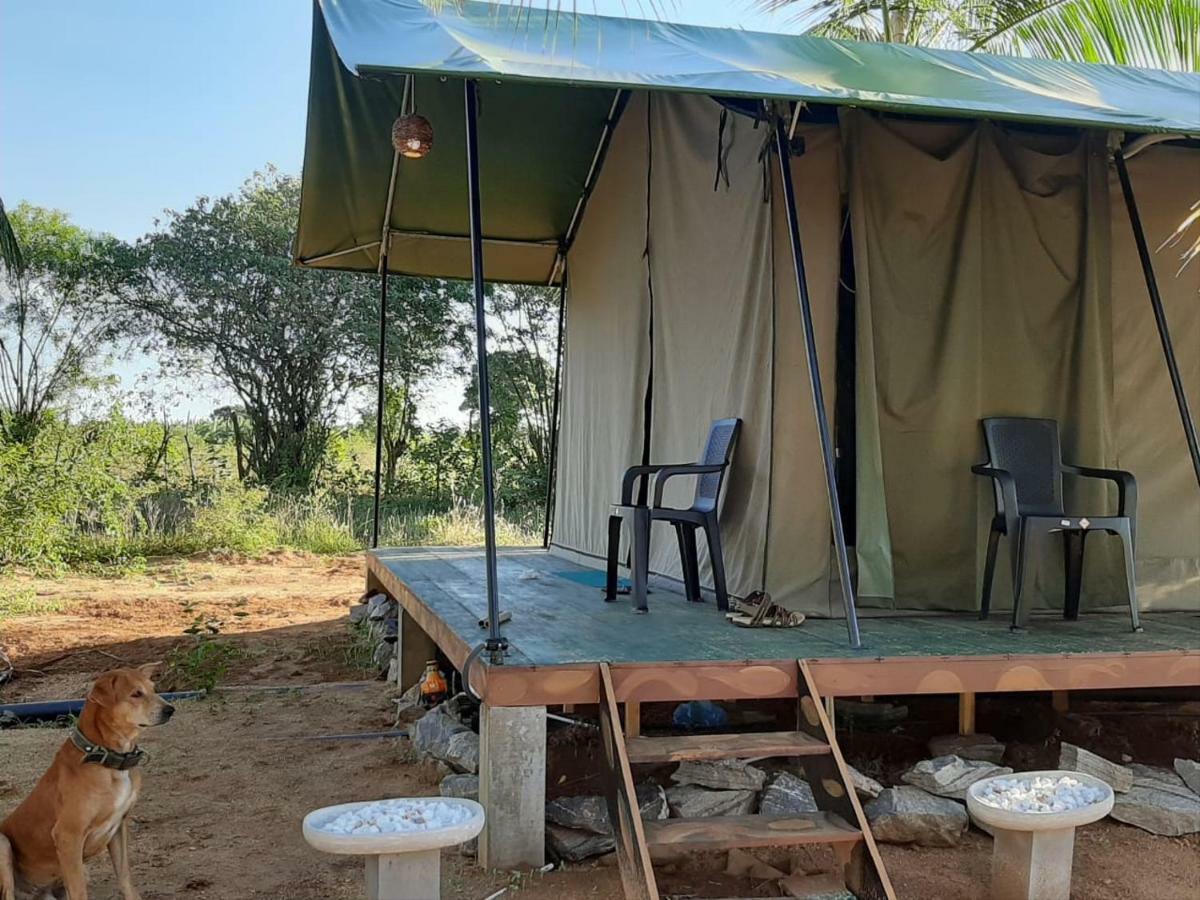 Hotel Yala Eco Tree House Tissamaharama Exterior foto