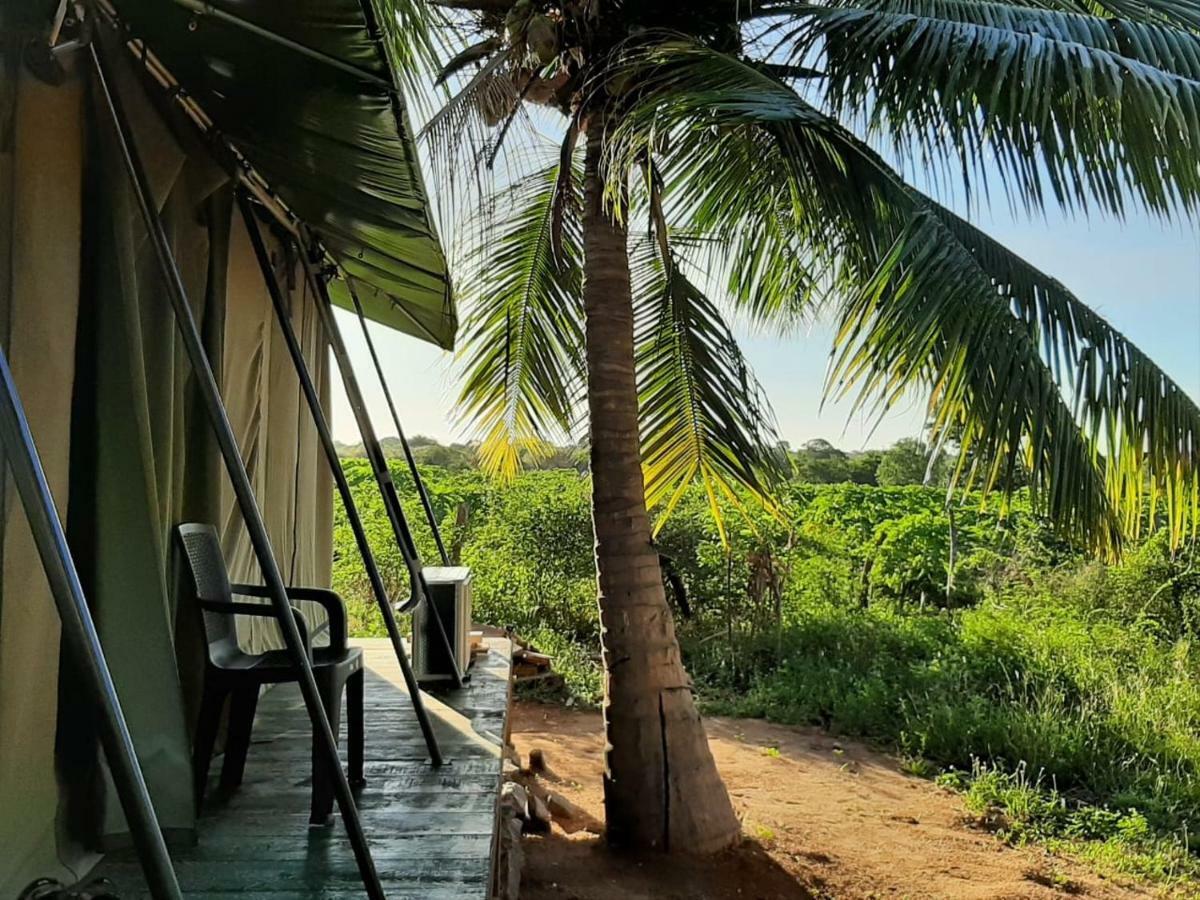 Hotel Yala Eco Tree House Tissamaharama Exterior foto