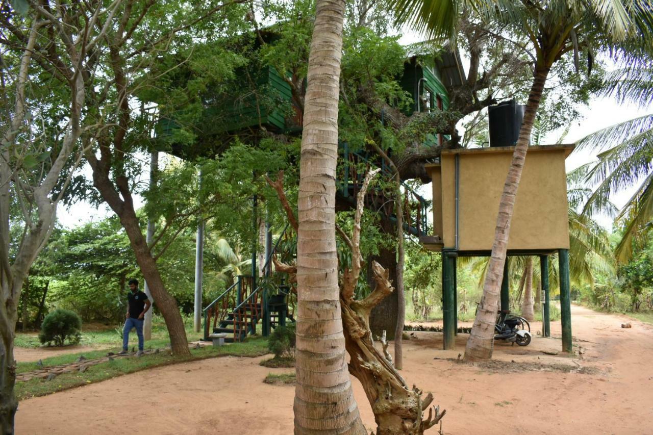 Hotel Yala Eco Tree House Tissamaharama Exterior foto